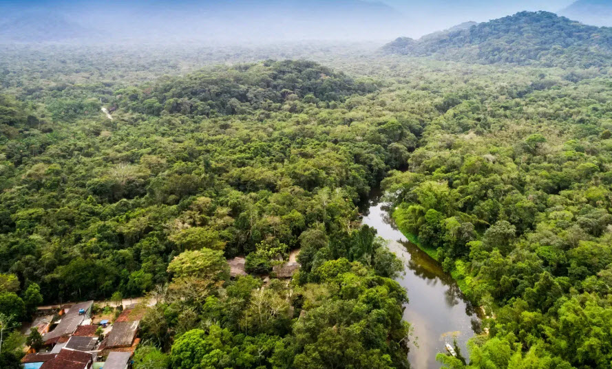 Mayombe Forest